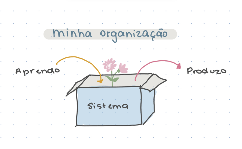 Como estou organizando o meu sistema de organização | Blog Camile Carvalho | Vida Minimalista